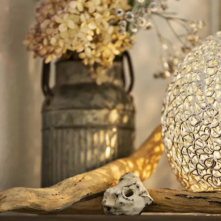 Apartmán Hoefthus 14 Alt Reddevitz